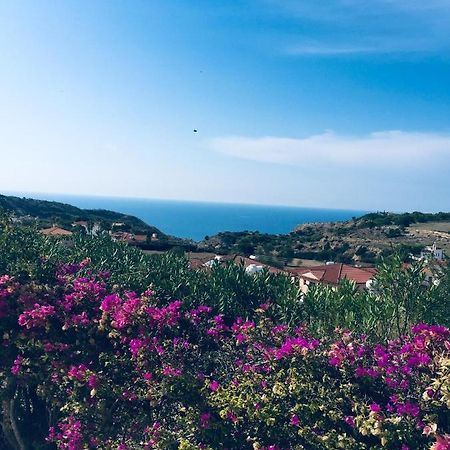 Pissouri Villa Miramar Dış mekan fotoğraf