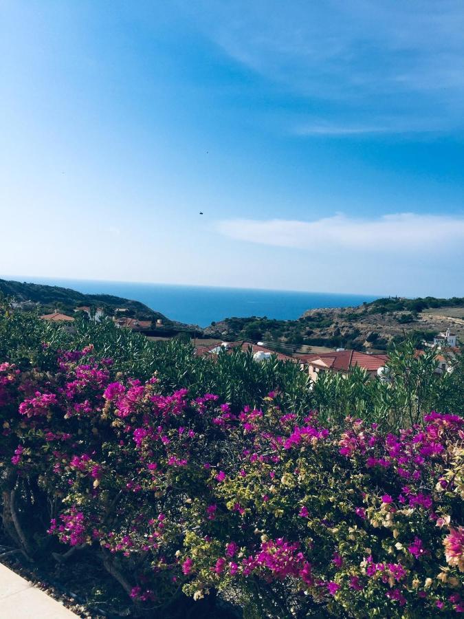 Pissouri Villa Miramar Dış mekan fotoğraf
